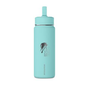 20oz Insulated Kids Bottle with Straw